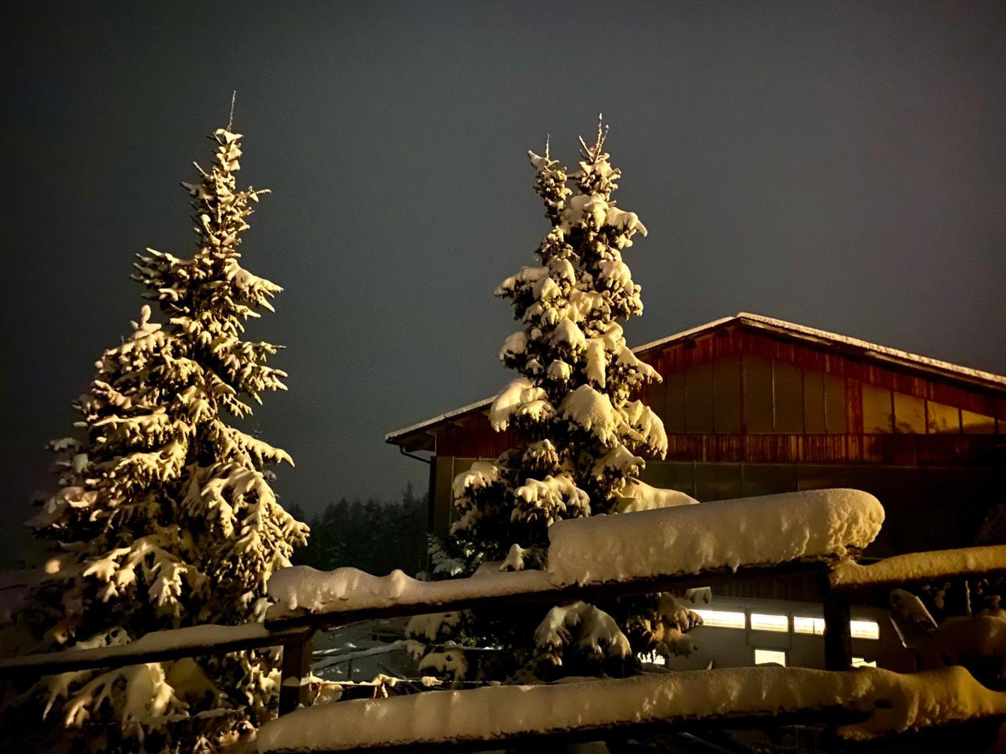 Oberprantschoellhof - Horse Mountain Stable Бресаноне Екстериор снимка