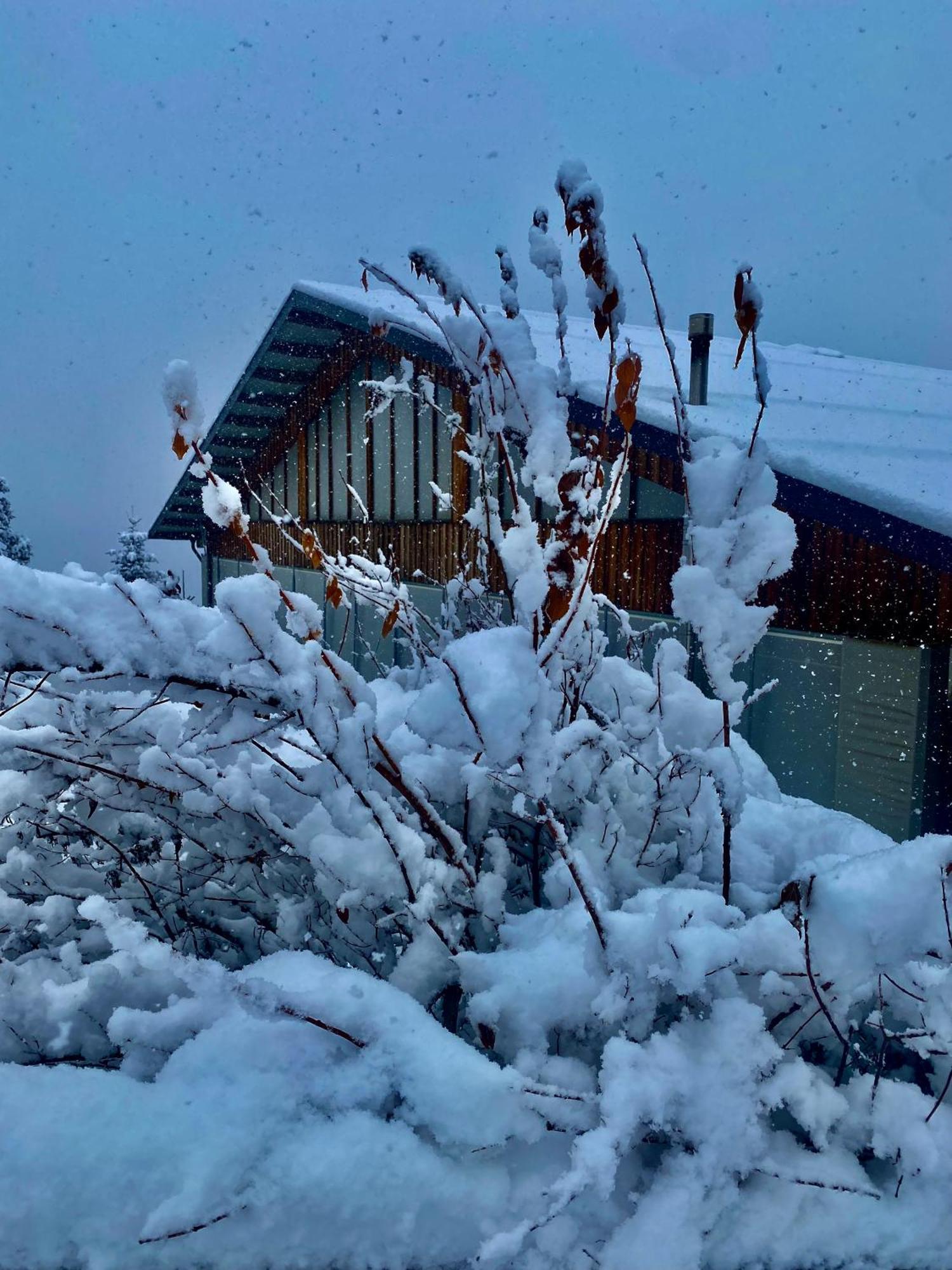 Oberprantschoellhof - Horse Mountain Stable Бресаноне Екстериор снимка